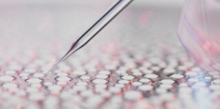 Objavte náš jedinečný vedecký prístup, ekobiológiu.